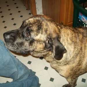 Meet your Posher, Chad